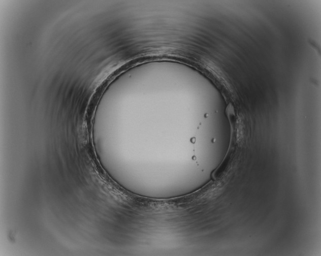 X0000101650876200807241352