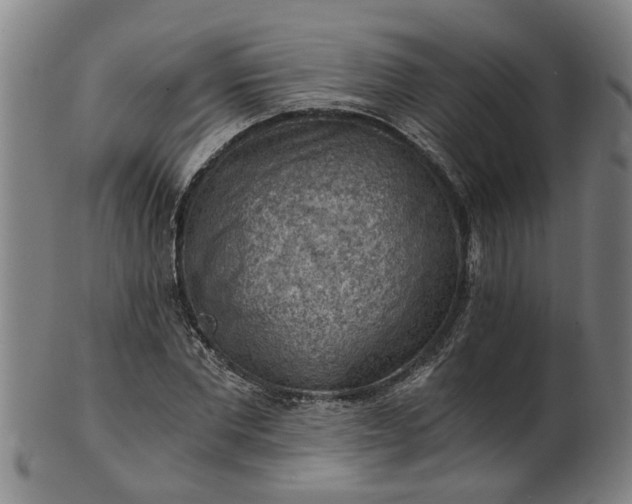 X0000101650877200807241352