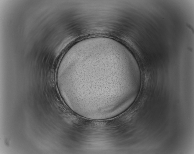 X0000101650878200807241352