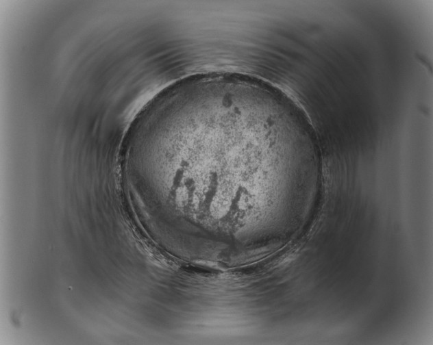 X0000101650879200807241352