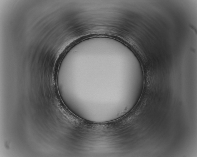 X0000101650880200807241352