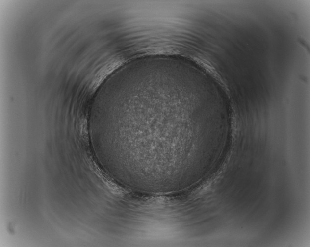 X0000101650881200807241352