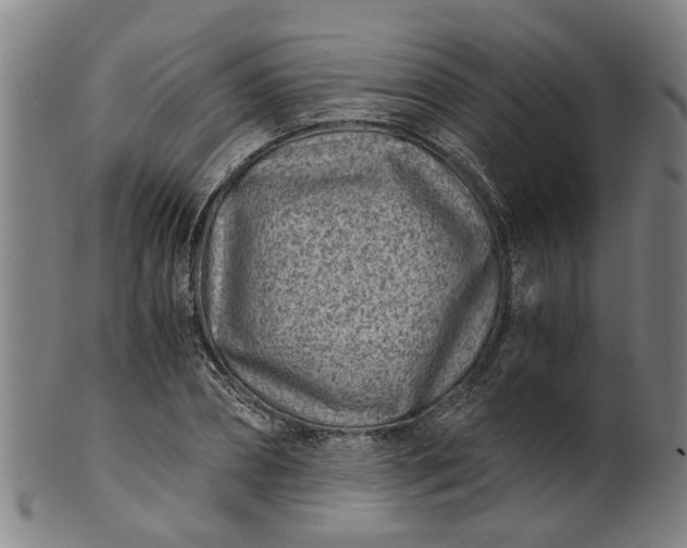 X0000101650882200807241352