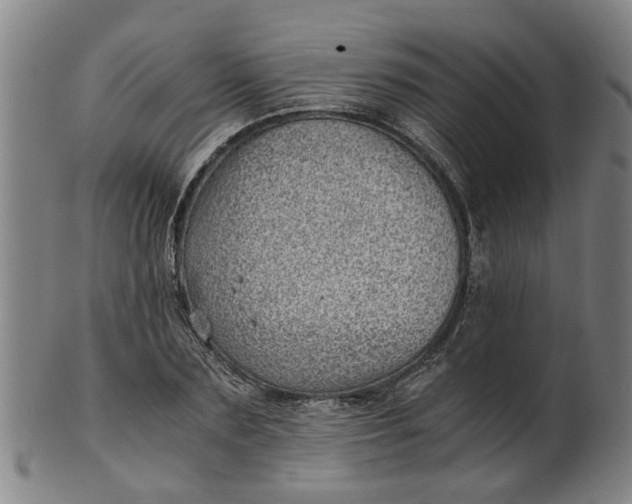 X0000101650883200807241352