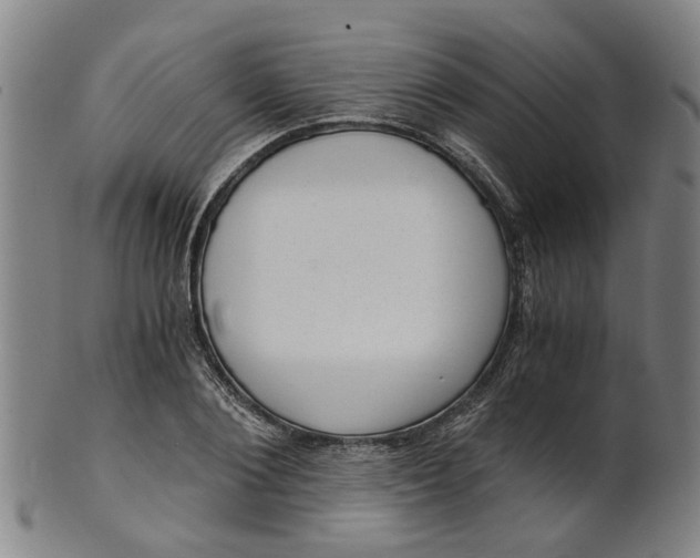 X0000101650884200807241352