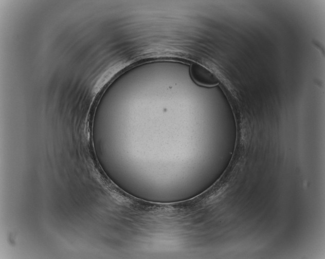 X0000101650885200807241352