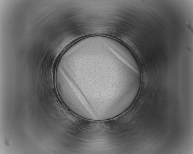 X0000101650886200807241352