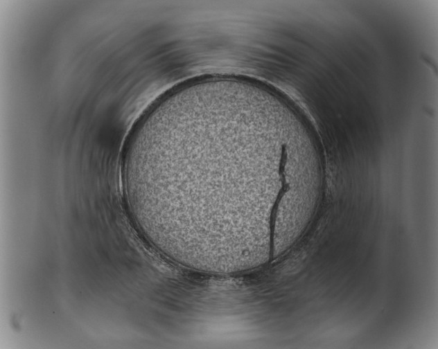 X0000101650887200807241352