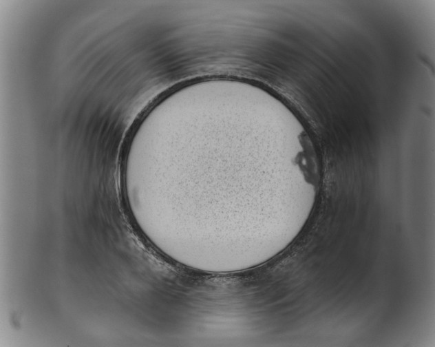 X0000101650888200807241352