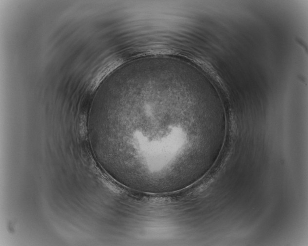 X0000101650889200807241352