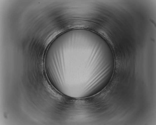 X0000101650890200807241352