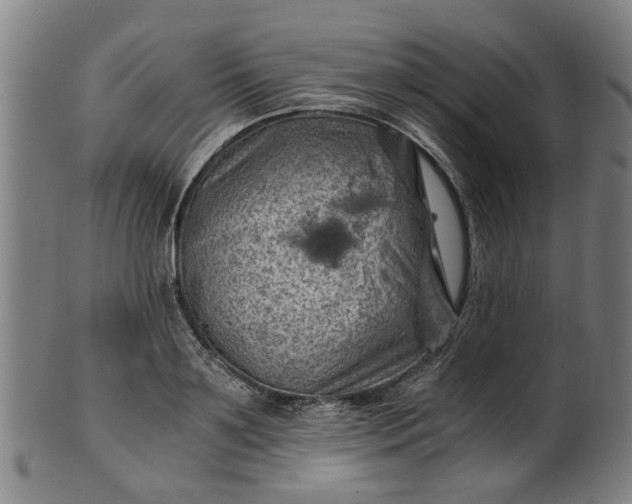 X0000101650891200807241352