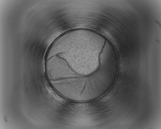 X0000101650892200807241352