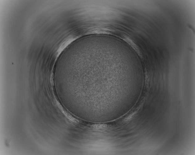 X0000101650893200807241352