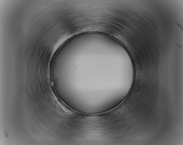 X0000101650894200807241352