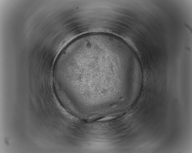 X0000101650895200807241352