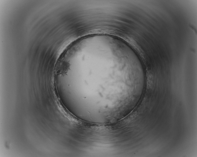 X0000101650896200807241352