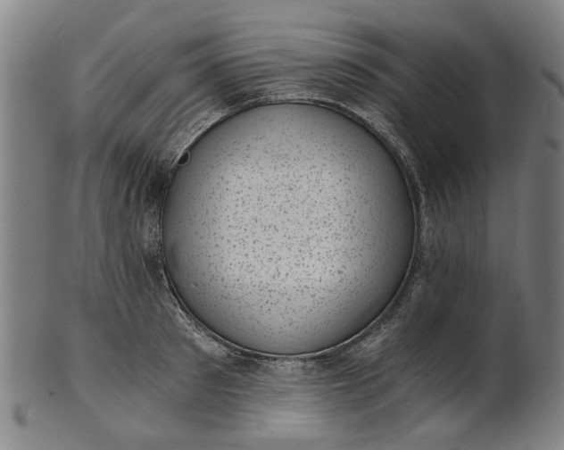 X0000101650897200807241352