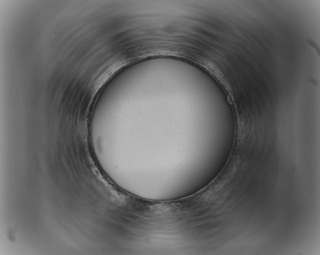 X0000101650898200807241352