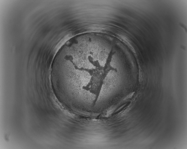 X0000101650899200807241352