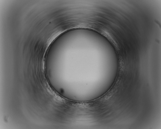 X0000101650900200807241352