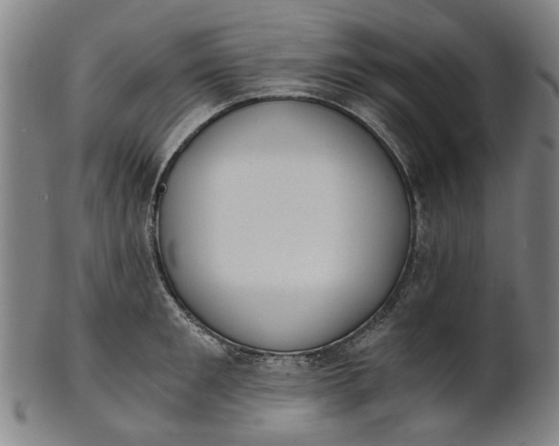 X0000101650901200807241352