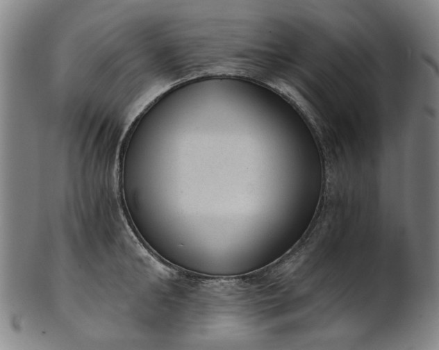 X0000101650902200807241352