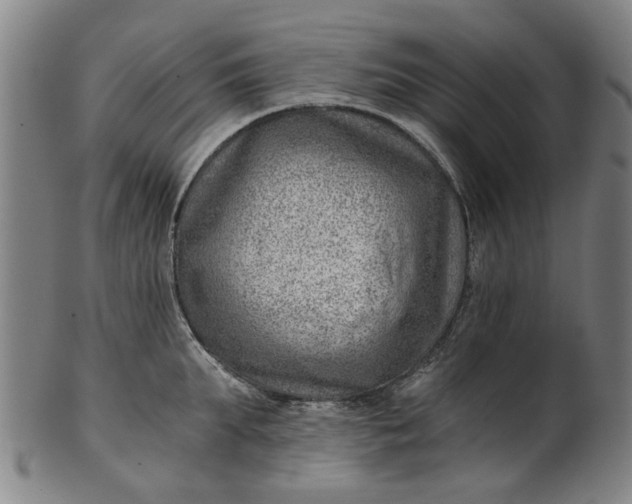 X0000101650903200807241352