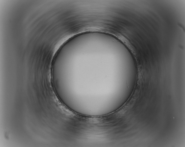 X0000101650904200807241352