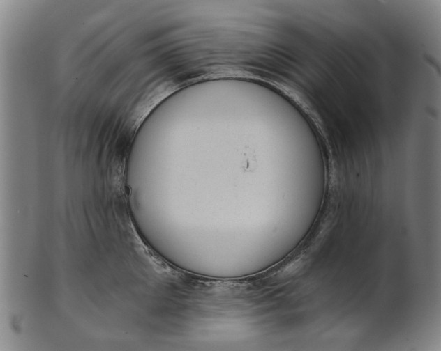 X0000101650905200807241352