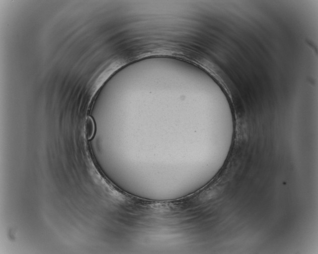 X0000101650906200807241352