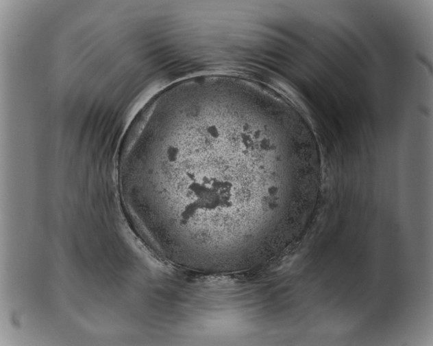 X0000101650907200807241352