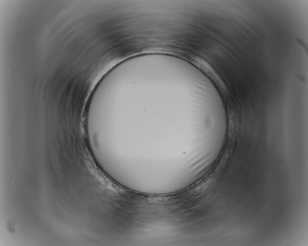 X0000101650908200807241352