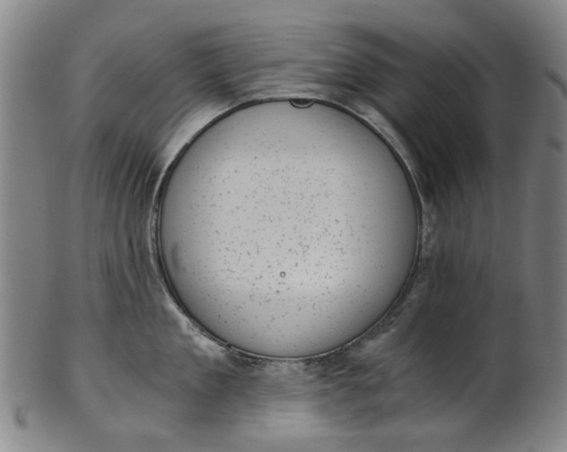 X0000101650909200807241352