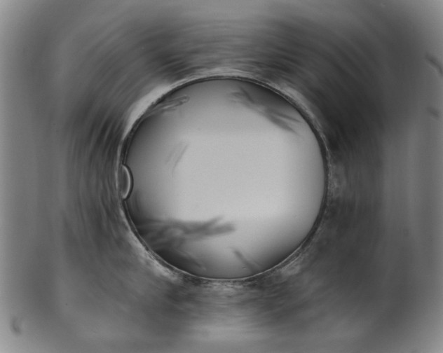 X0000101650910200807241352