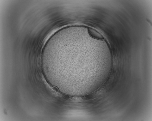 X0000101650911200807241352