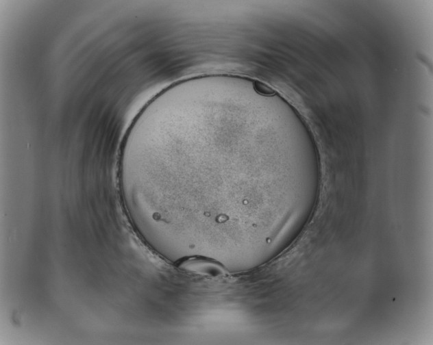 X0000101650912200807241352