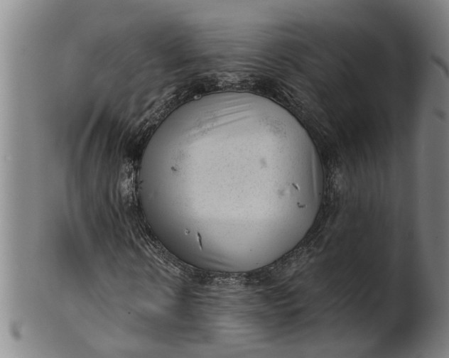 X0000101650914200807241351