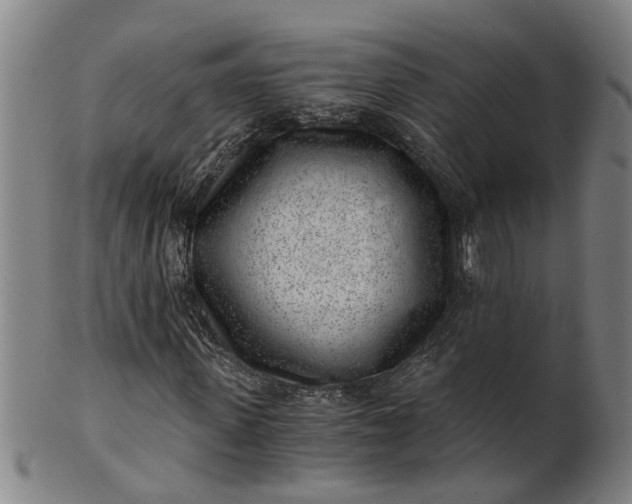 X0000101650915200807241351