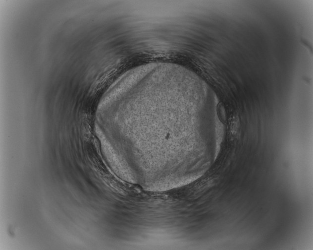 X0000101650916200807241351