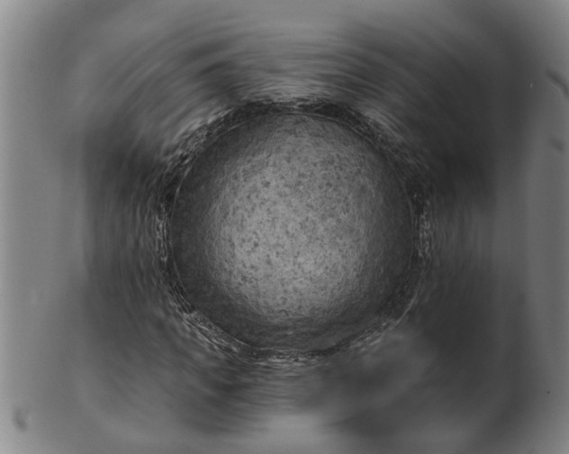 X0000101650917200807241351