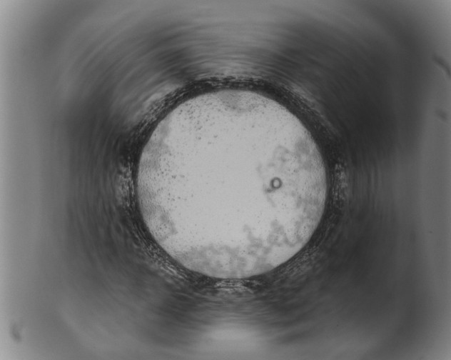 X0000101650918200807241351