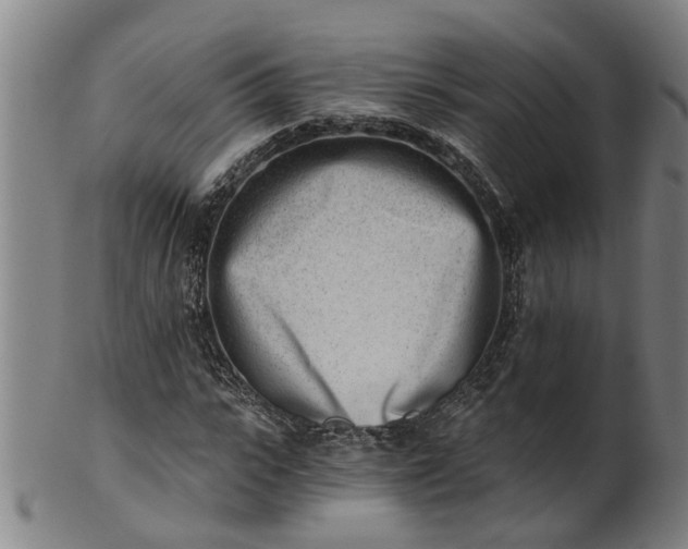 X0000101650919200807241351