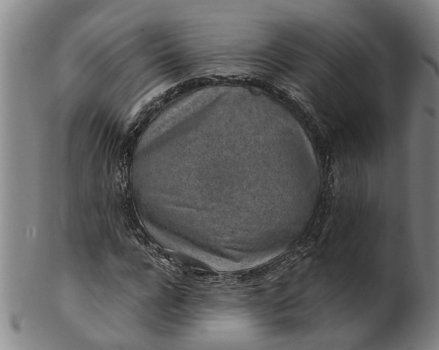 X0000101650920200807241351