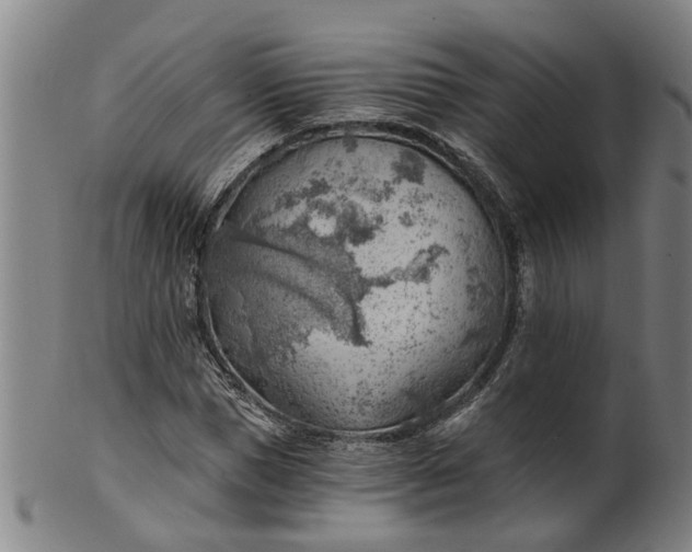 X0000101650921200807241351