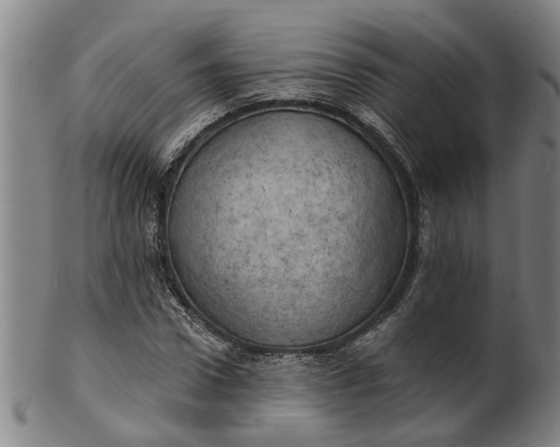 X0000101650922200807241351