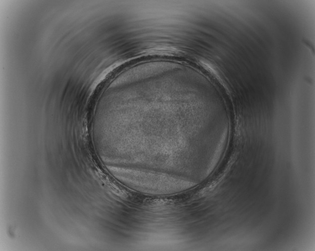 X0000101650923200807241351