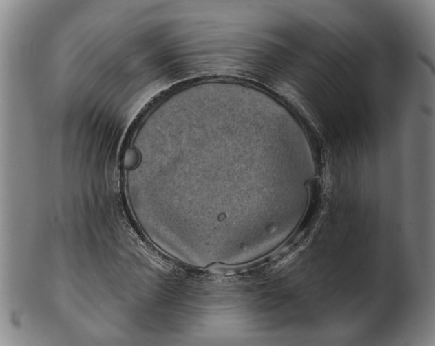 X0000101650924200807241351