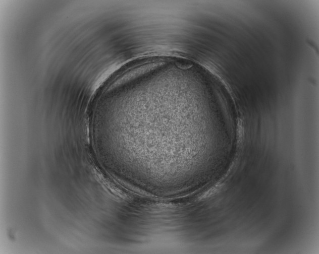 X0000101650925200807241351