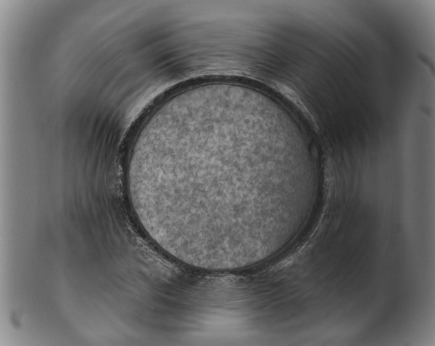 X0000101650926200807241351